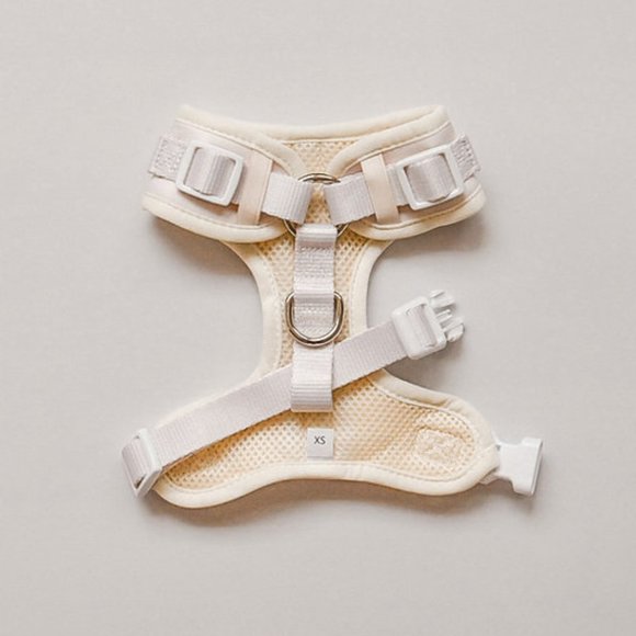 PETsRUS Premium No Pull Dog Harness 2 Leash Clips Ivory Snake Leather Neoprene - Picture 6 of 10